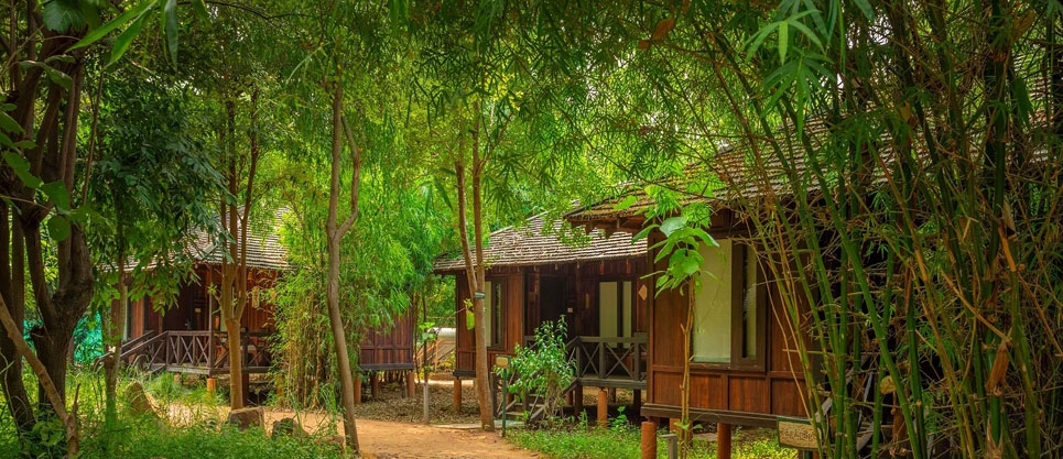 tendu leaf resort