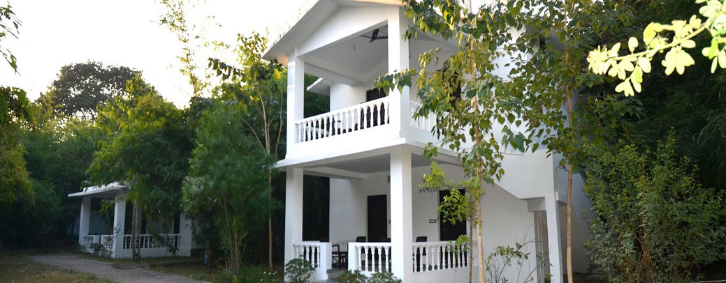 panna tiger resort stay