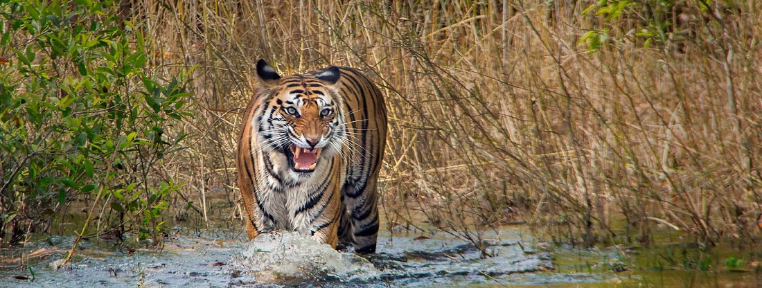 Best Tour Itineraries from Bhopal for Every Travel Enthusiast