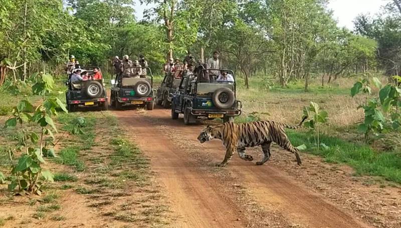 Panna Tour Packages, Panna Tour Booking